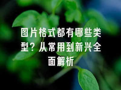 图片格式都有哪些类型？从常用到新兴全面解析