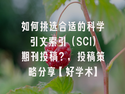 如何挑选合适的科学引文索引（SCI）期刊投稿？，投稿策略分享【好学术】