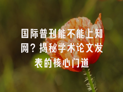 国际普刊能不能上知网？揭秘学术论文发表的核心门道