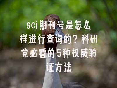 sci期刊号是怎么样进行查询的？科研党必看的5种权威验证方法