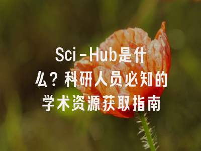 Sci-Hub是什么？科研人员必知的学术资源获取指南