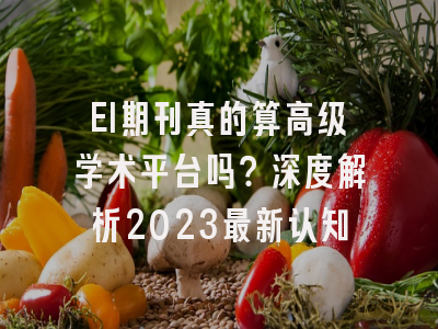 EI期刊真的算高级学术平台吗？深度解析2023最新认知