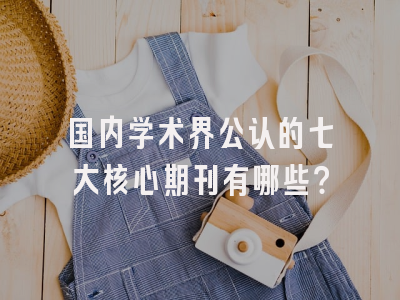 国内学术界公认的七大核心期刊有哪些？