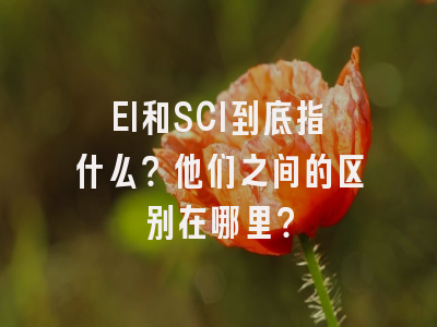 EI和SCI到底指什么？他们之间的区别在哪里？