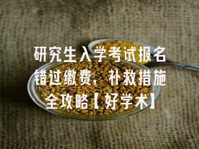 研究生入学考试报名错过缴费，补救措施全攻略【好学术】
