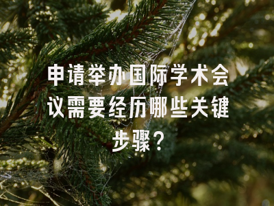 申请举办国际学术会议需要经历哪些关键步骤？