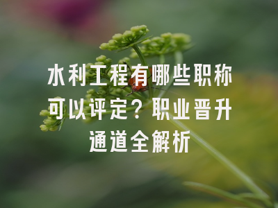 水利工程有哪些职称可以评定？职业晋升通道全解析