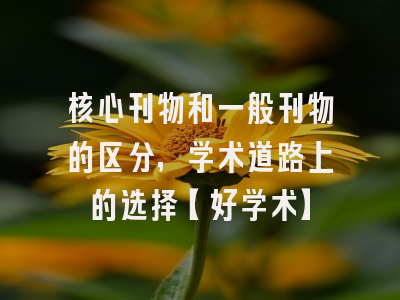 核心刊物和一般刊物的区分，学术道路上的选择【好学术】