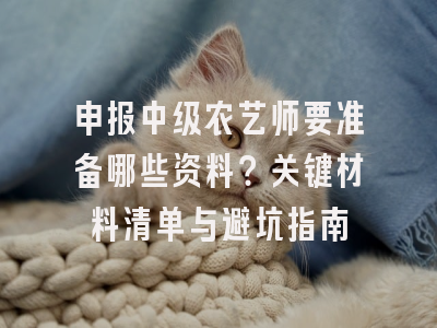 申报中级农艺师要准备哪些资料？关键材料清单与避坑指南