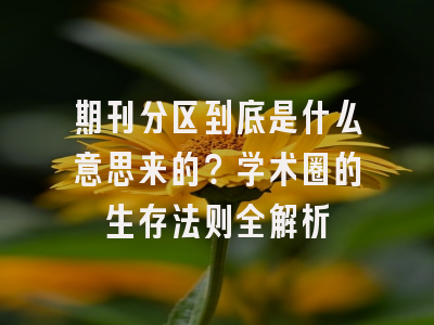 期刊分区到底是什么意思来的？学术圈的生存法则全解析