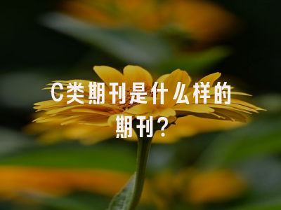 C类期刊是什么样的期刊？