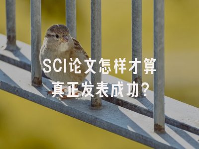 SCI论文怎样才算真正发表成功？