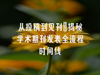从投稿到见刊：揭秘学术期刊发表全流程时间线