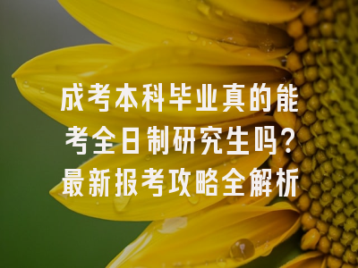 成考本科毕业真的能考全日制研究生吗？最新报考攻略全解析