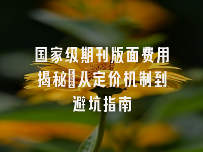 国家级期刊版面费用揭秘：从定价机制到避坑指南