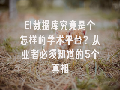 EI数据库究竟是个怎样的学术平台？从业者必须知道的5个真相