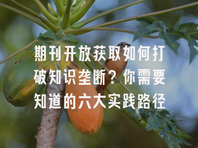 期刊开放获取如何打破知识垄断？你需要知道的六大实践路径