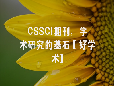 CSSCI期刊，学术研究的基石【好学术】