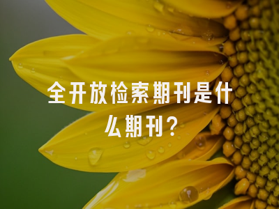 全开放检索期刊是什么期刊？