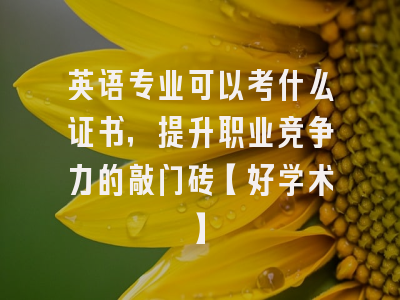 英语专业可以考什么证书，提升职业竞争力的敲门砖【好学术】