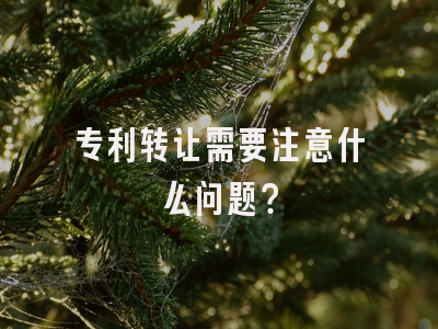 专利转让需要注意什么问题？