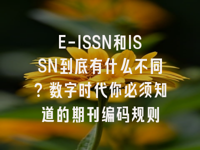 E-ISSN和ISSN到底有什么不同？数字时代你必须知道的期刊编码规则