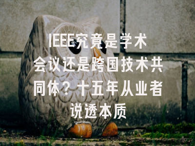 IEEE究竟是学术会议还是跨国技术共同体？十五年从业者说透本质