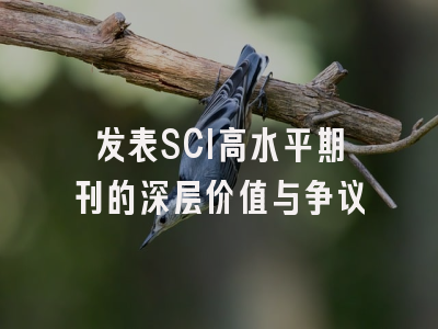 发表SCI高水平期刊的深层价值与争议