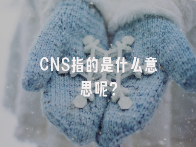 CNS指的是什么意思呢？