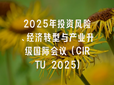 2025年投资风险、经济转型与产业升级国际会议（CIRTU 2025）