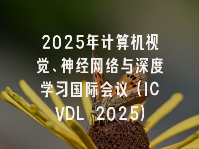 2025年计算机视觉、神经网络与深度学习国际会议（ICVDL 2025）