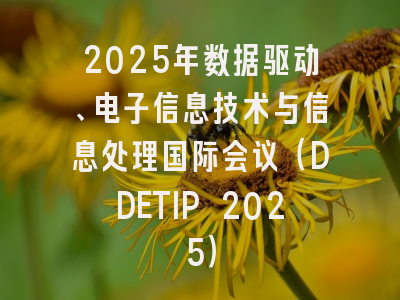 2025年数据驱动、电子信息技术与信息处理国际会议（DDETIP 2025）