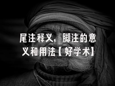 尾注释义，脚注的意义和用法【好学术】