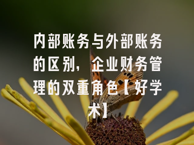 内部账务与外部账务的区别，企业财务管理的双重角色【好学术】