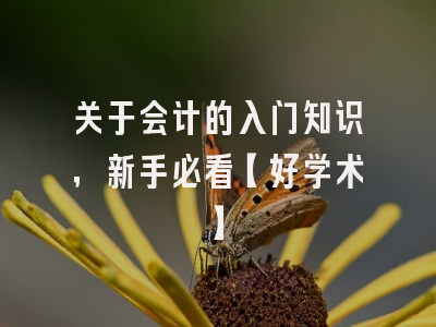 关于会计的入门知识，新手必看【好学术】