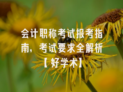 会计职称考试报考指南，考试要求全解析【好学术】