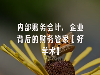 内部账务会计，企业背后的财务管家【好学术】