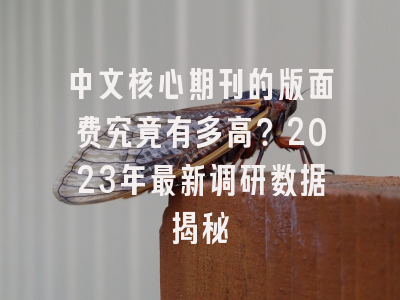 中文核心期刊的版面费究竟有多高？2023年最新调研数据揭秘