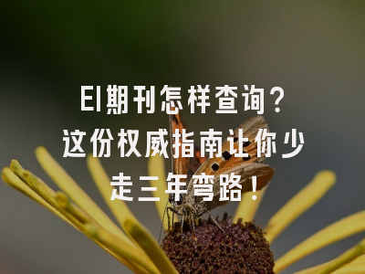 EI期刊怎样查询？这份权威指南让你少走三年弯路！