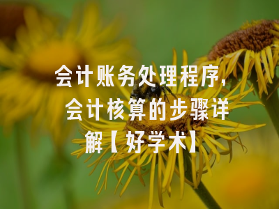 会计账务处理程序, 会计核算的步骤详解【好学术】