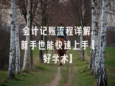 会计记账流程详解，新手也能快速上手【好学术】