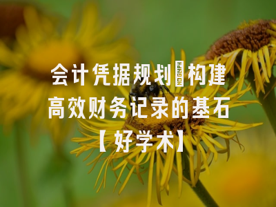 会计凭据规划：构建高效财务记录的基石【好学术】