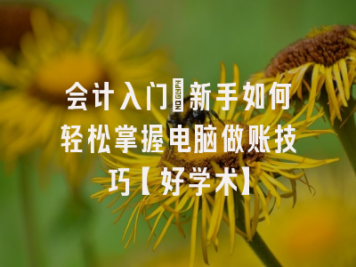 会计入门：新手如何轻松掌握电脑做账技巧【好学术】