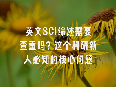 英文SCI综述需要查重吗？这个科研新人必知的核心问题