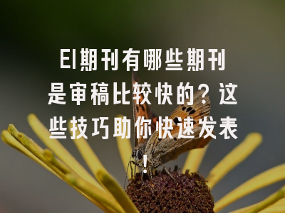 EI期刊有哪些期刊是审稿比较快的？这些技巧助你快速发表！