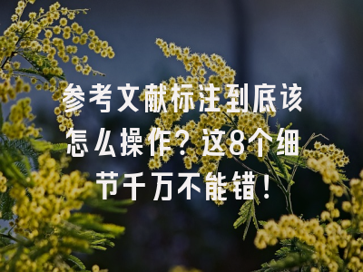 参考文献标注到底该怎么操作？这8个细节千万不能错！