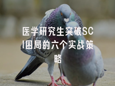 医学研究生突破SCI困局的六个实战策略