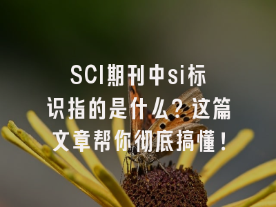 SCI期刊中si标识指的是什么？这篇文章帮你彻底搞懂！