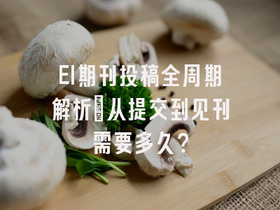 EI期刊投稿全周期解析：从提交到见刊需要多久？