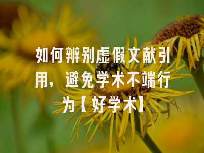 如何辨别虚假文献引用，避免学术不端行为【好学术】